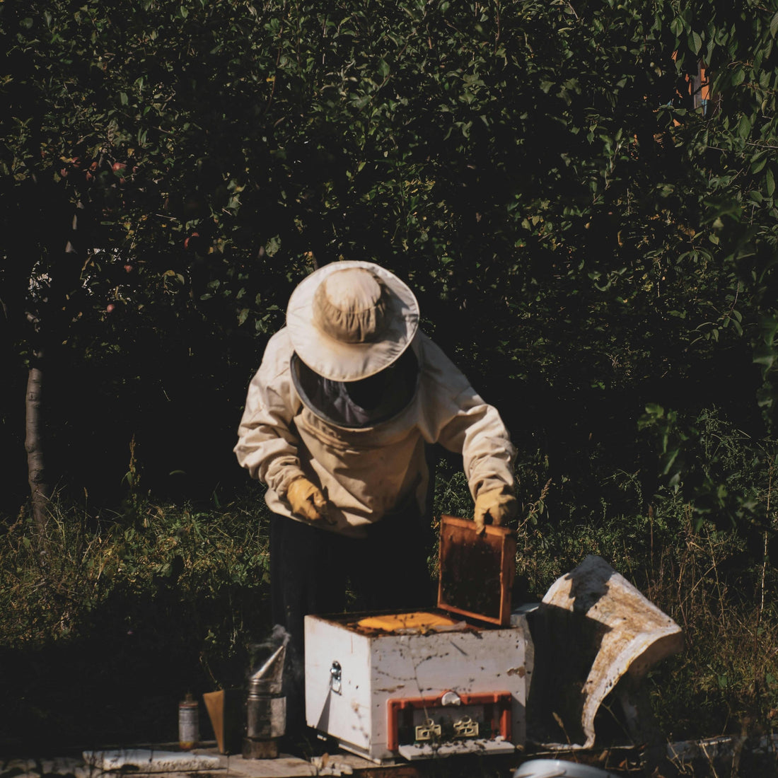 Pollinators are Un-Bee-lievable